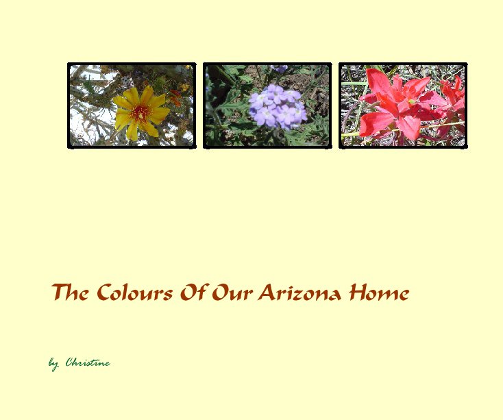 View The Colours Of Our Arizona Home by Christine