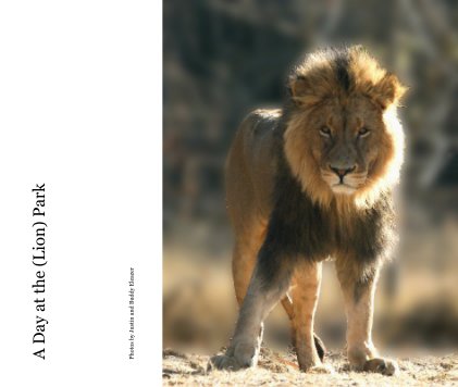 A Day at the (Lion) Park book cover