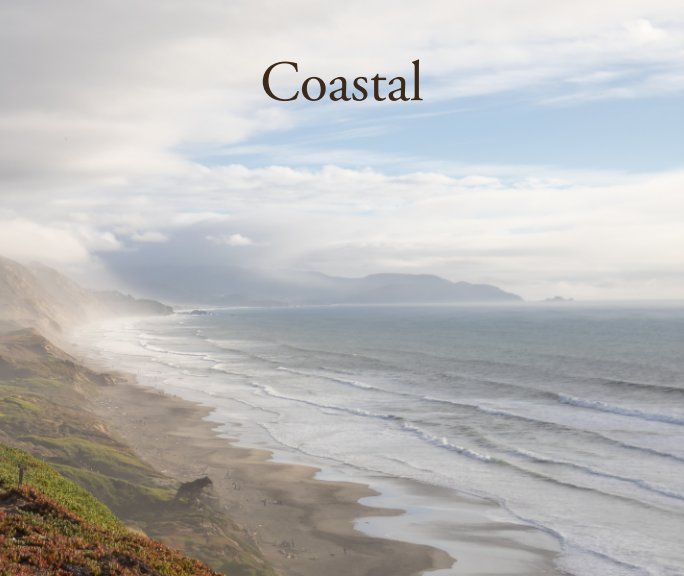 View Coastal by Will Story