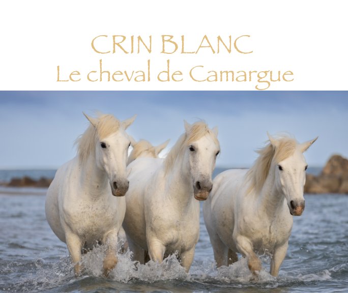 View Crin blanc: le Cheval de Camargue by Hélène Chouinard
