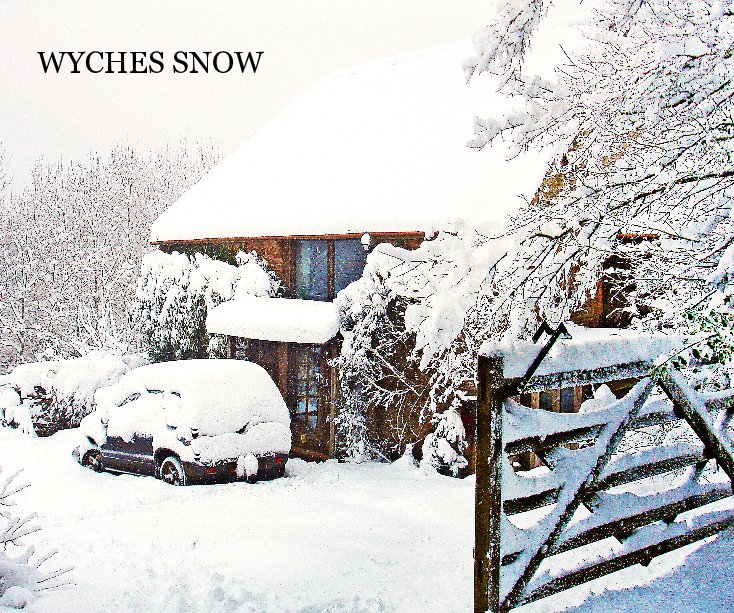 Ver WYCHES SNOW por John M. Cook