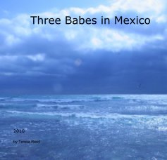 Three Babes in Mexico book cover