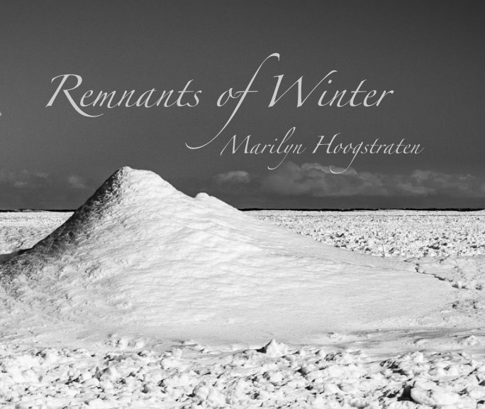 Ver Remnants of Winter por Marilyn Hoogstraten