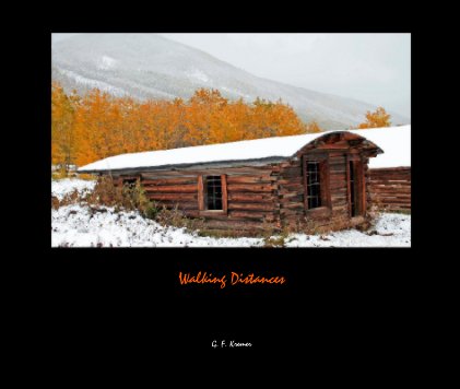 Walking Distances book cover