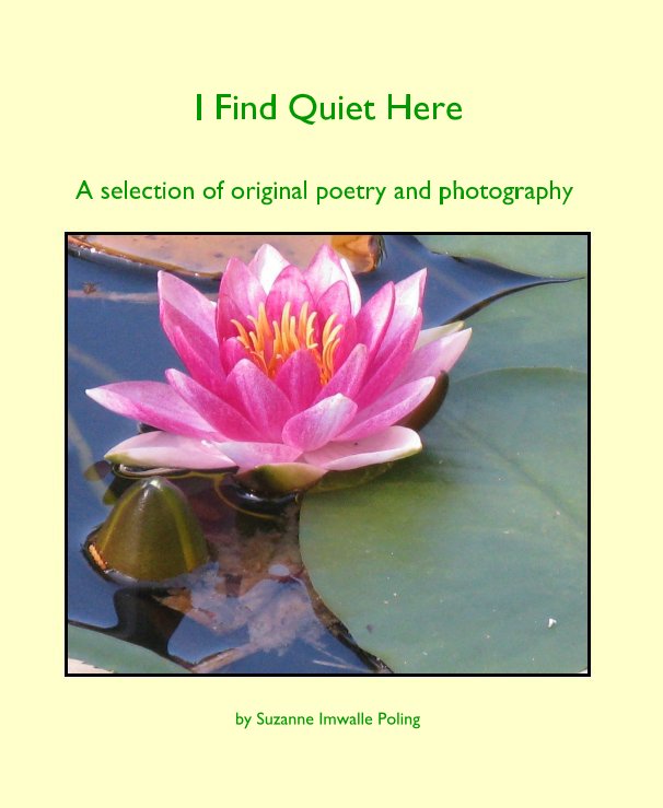 View I Find Quiet Here by Suzanne Imwalle Poling
