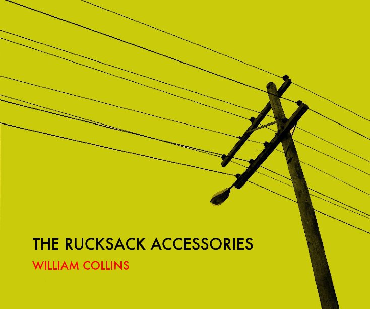 View The Rucksack Accessories by William Collins