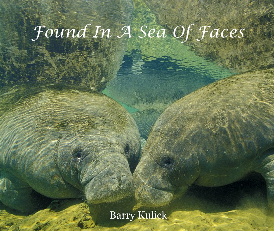 View Found In A Sea Of Faces by Barry Kulick