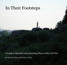 In Their Footsteps book cover