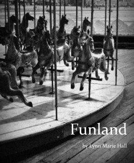 Funland book cover