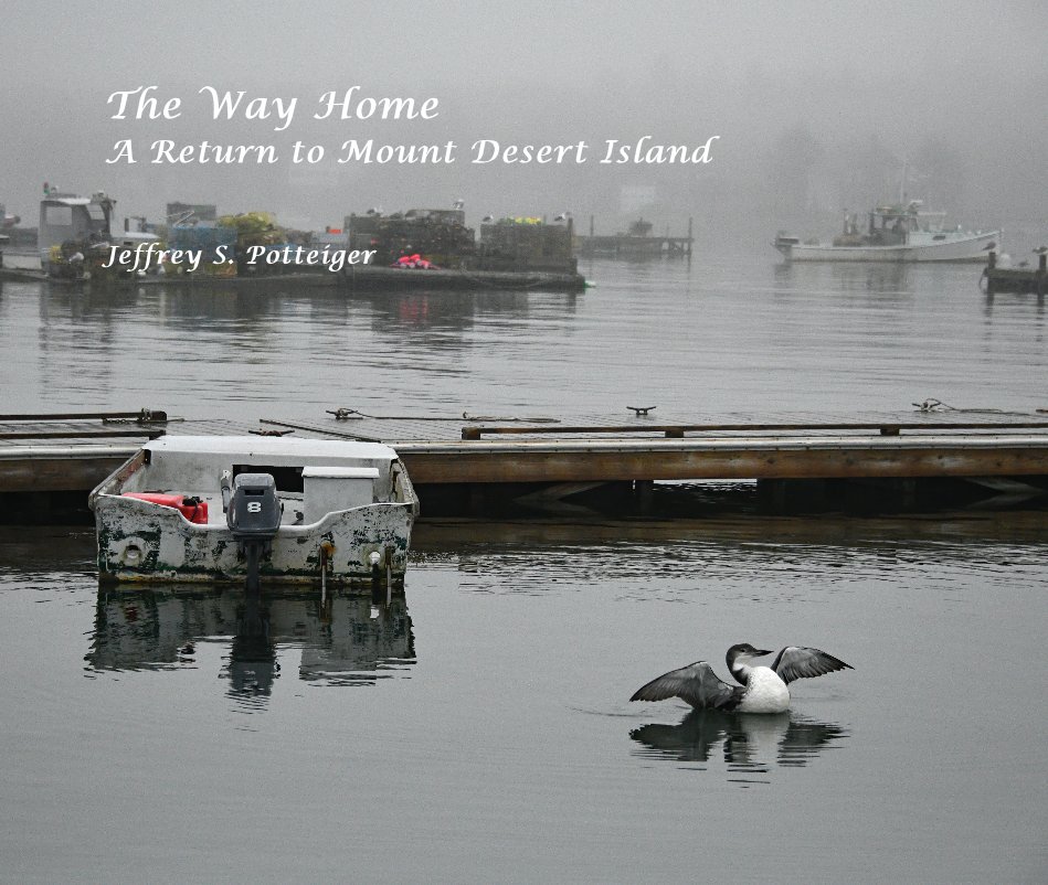 Visualizza The Way Home A Return to Mount Desert Island di Jeffrey S. Potteiger