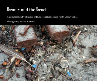 Beauty and the Beach book cover