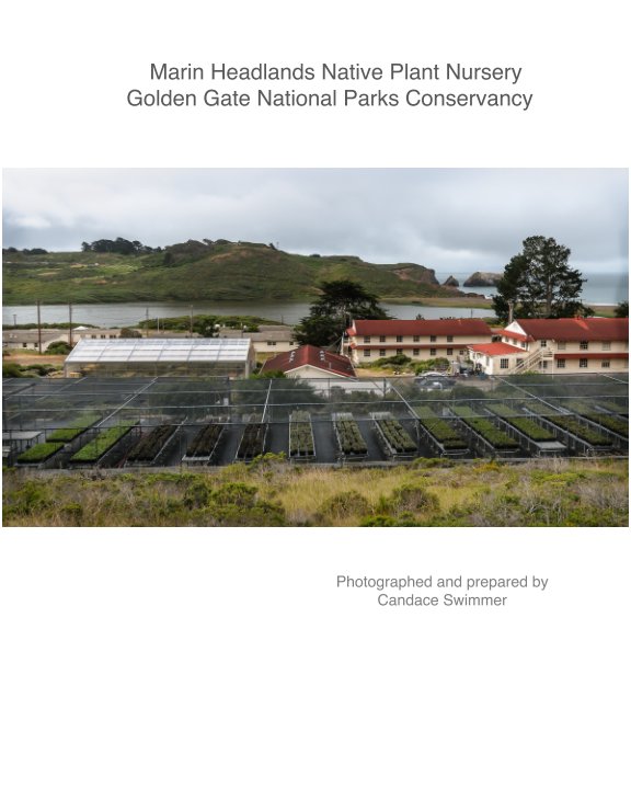 Marin Headlands Native Plant Nursery nach Candace Swimmer anzeigen