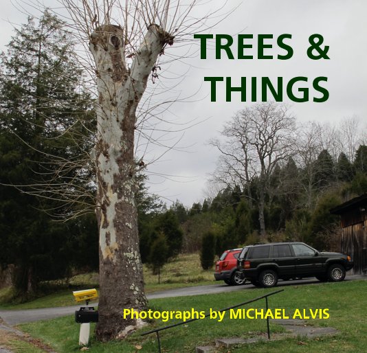 View TREES & THINGS by MICHAEL ALVIS