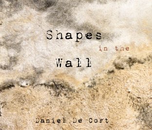 Shapes in the Wall book cover