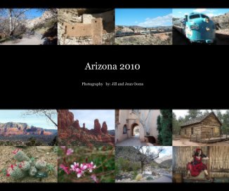 Arizona 2010 book cover