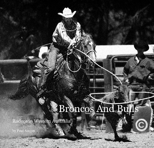 View Broncos And Bulls by Paul Amyes
