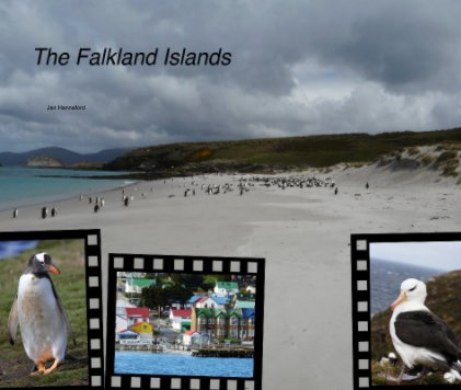 Falkland Islands book cover