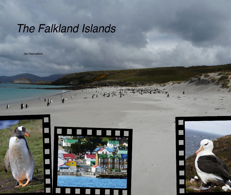 View Falkland Islands by Jan Hannaford