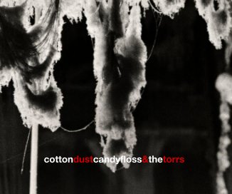 cottondustcandyfloss&thetorrs book cover