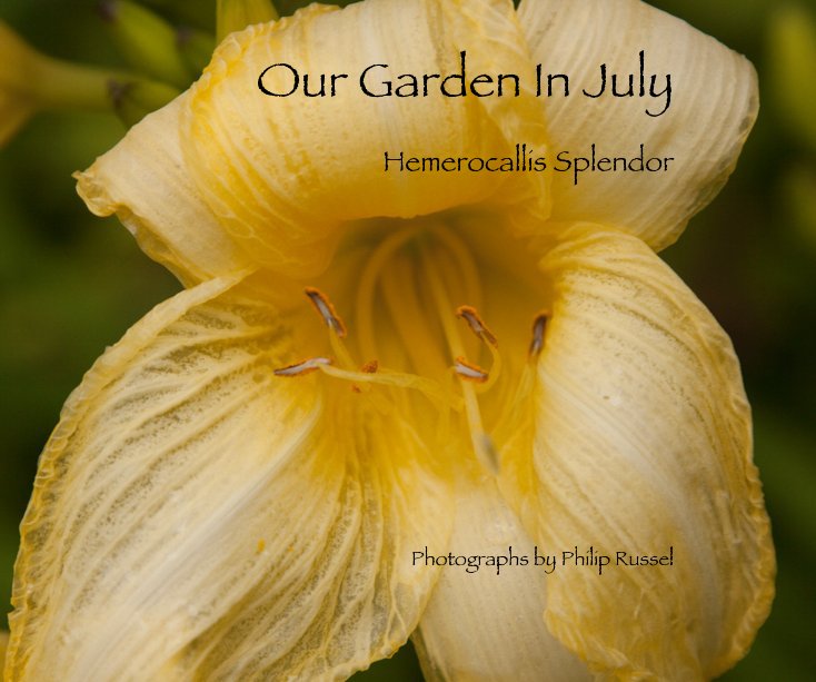View Our Garden In July by Photographs by Philip Russel