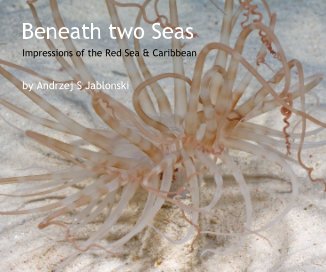 Beneath two Seas book cover