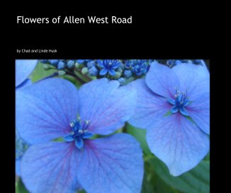 Flowers of Allen West Road book cover