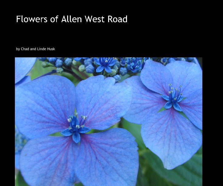 Ver Flowers of Allen West Road por Chad and Linde Husk
