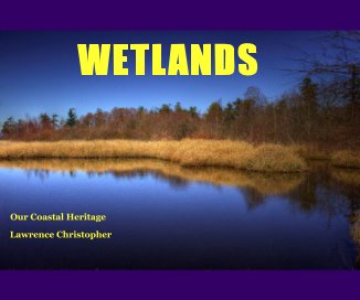 WETLANDS ABRIDGED book cover