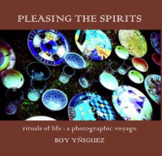 PLEASING THE SPIRITS book cover