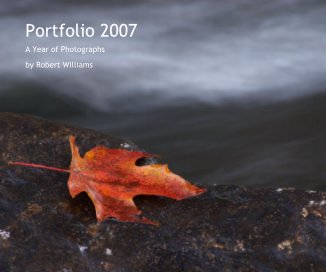 Portfolio 2007

A Year in Photographs
by Robert Williams book cover
