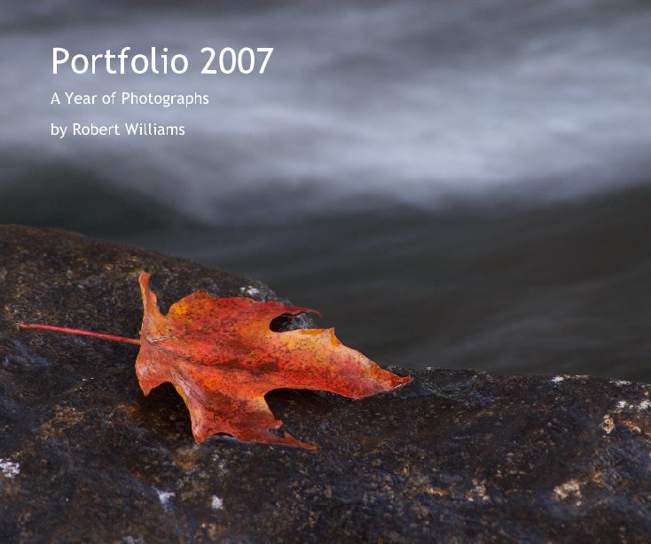 Visualizza Portfolio 2007

A Year in Photographs
by Robert Williams di Robert Williams