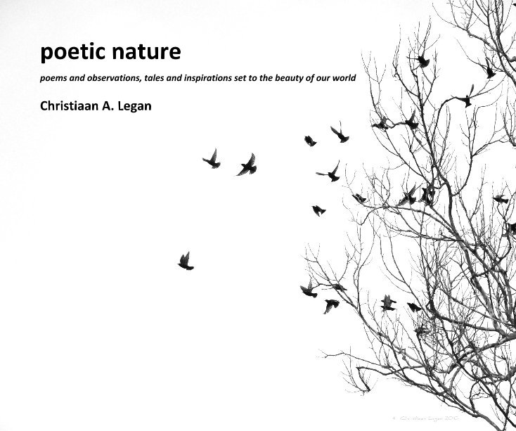 View poetic nature by Christiaan A. Legan
