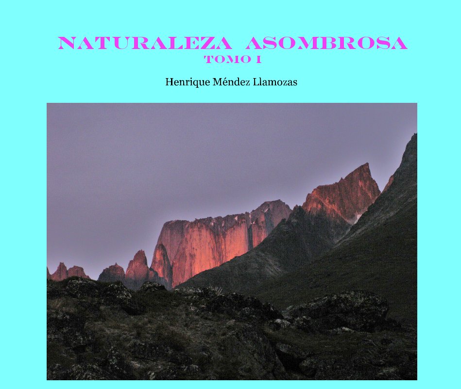View NATURALEZA ASOMBROSA TOMO I by Henrique Méndez Llamozas