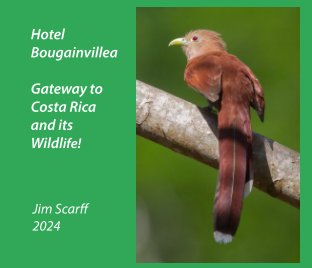 Hotel Bougainvillea - Gateway to Costa Rica and its Wildlfe book cover