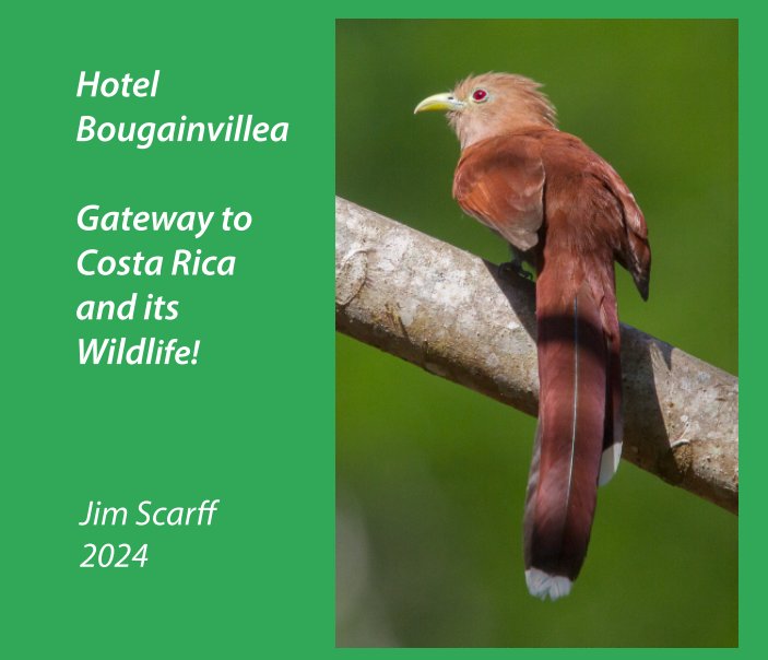 View Hotel Bougainvillea - Gateway to Costa Rica and its Wildlfe by Jim Scarff