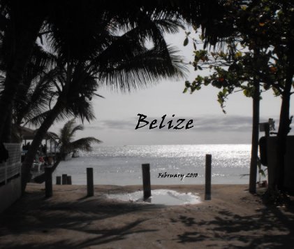 Belize book cover