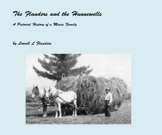 The Flanders and the Hunnewells book cover