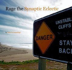 Rage the Synaptic Eclectic book cover