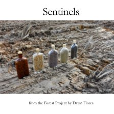 Sentinels from the Forest Project book cover