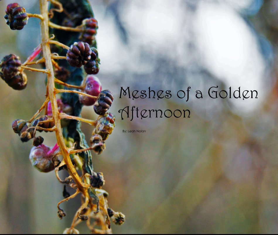 View Meshes of a Golden Afternoon by Leah Nolan