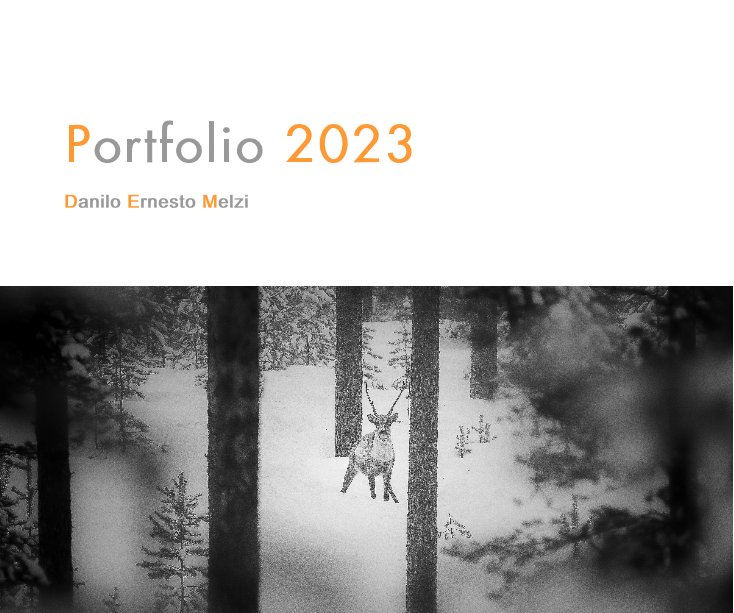 Visualizza Portfolio 2023 di Danilo Ernesto Melzi