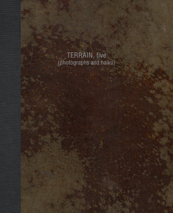 Visualizza TERRAIN. five di Lee Ka-sing. Gary M. Dault