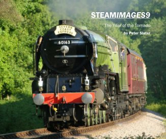 STEAMIMAGES9 book cover