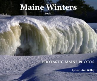 Maine Winters book cover