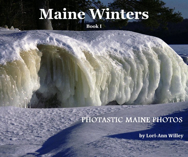 View Maine Winters by Lori-Ann Willey