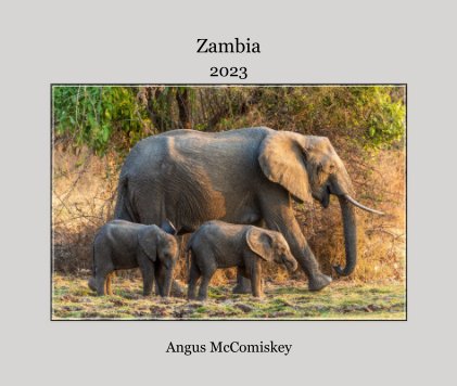 Zambia book cover