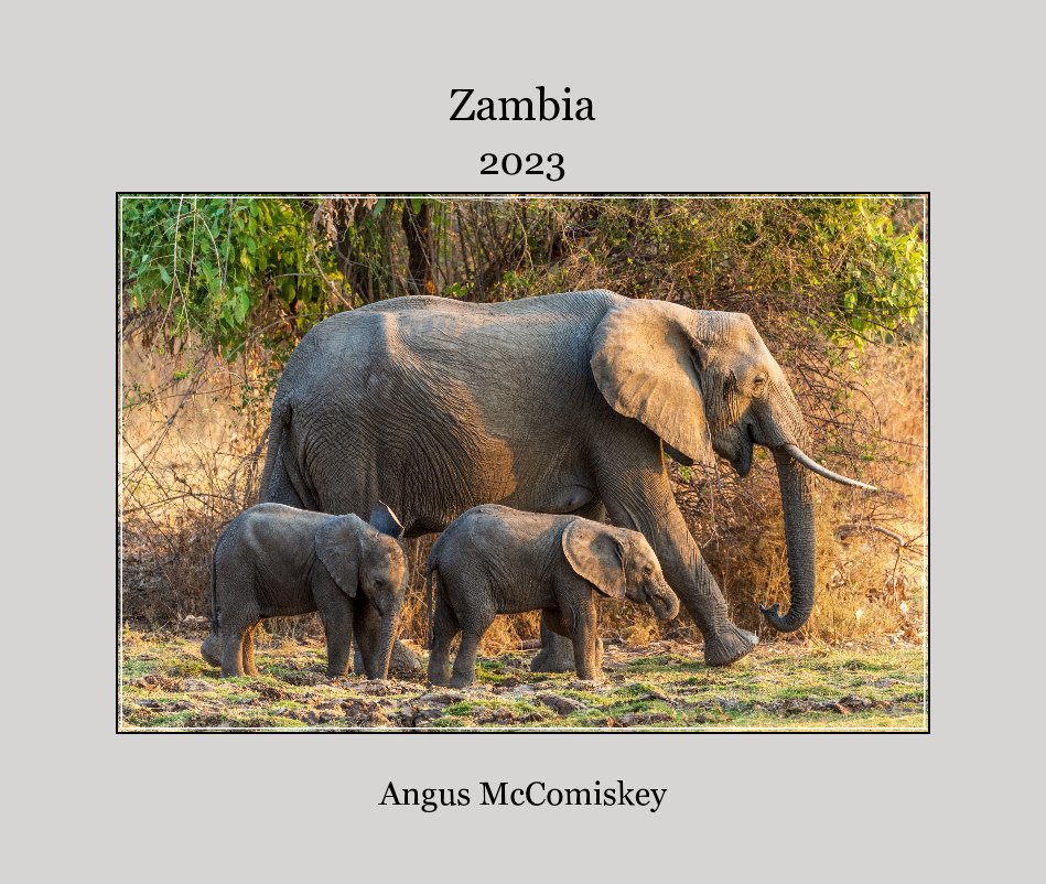 View Zambia by Angus McComiskey