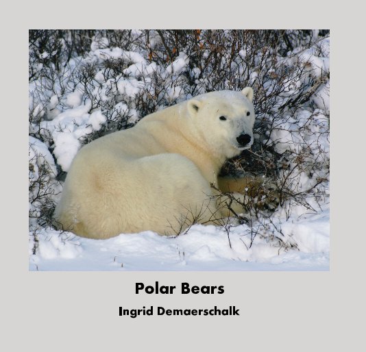 View Polar Bears by Ingrid Demaerschalk