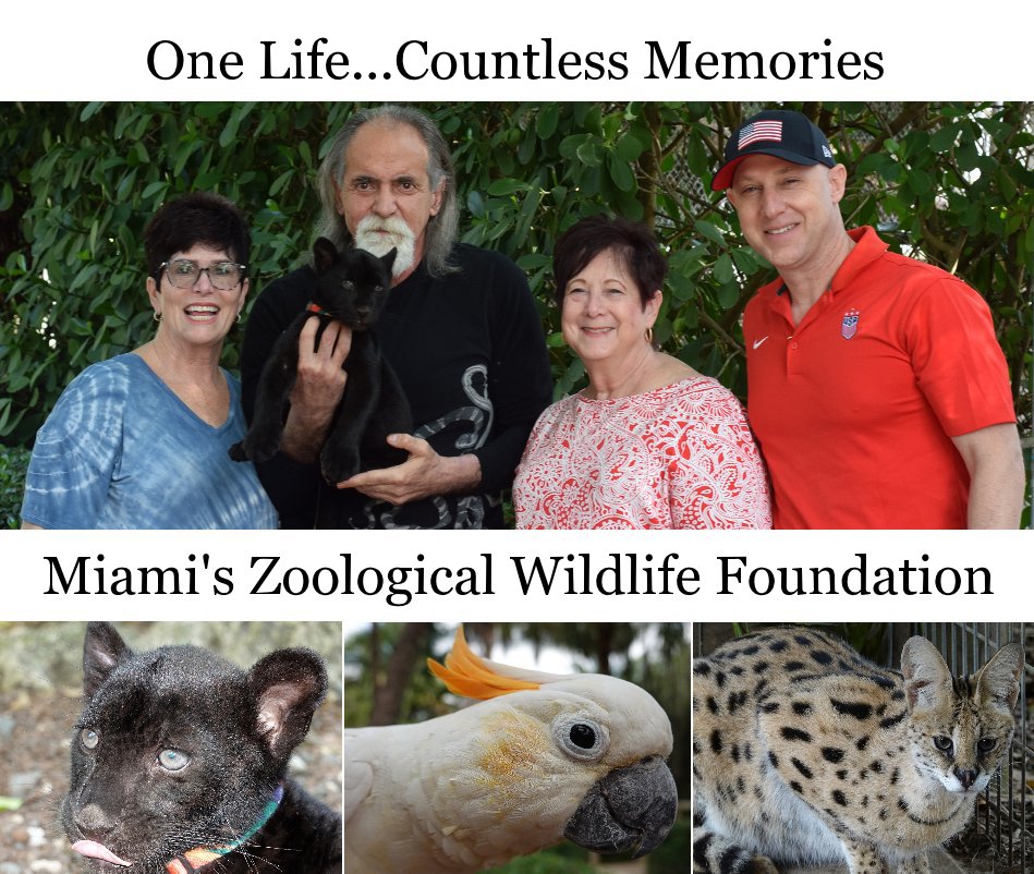 Visualizza Miami's Zoological Wildlife Foundation di Chris Shaffer