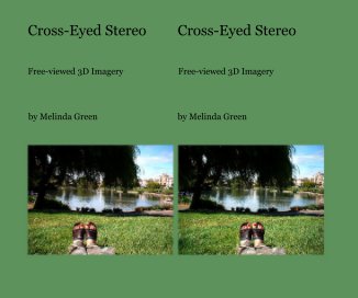 Cross-Eyed Stereo book cover